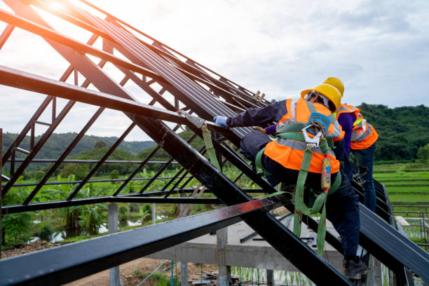 Best Storm Damage Roof Repair  in Manning, IA