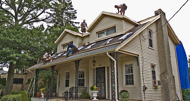 Best Roof Gutter Cleaning  in Manning, IA